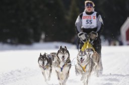 Lenzerheide 2013